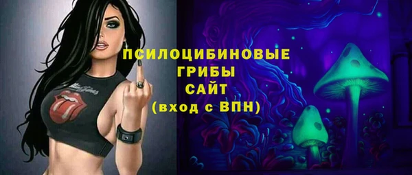 молекула духа Алексин