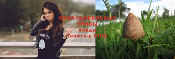 шишки Алексеевка