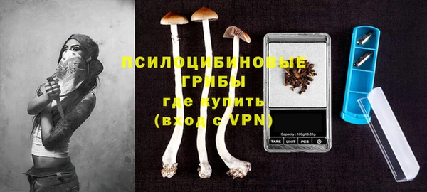 крисы Алзамай