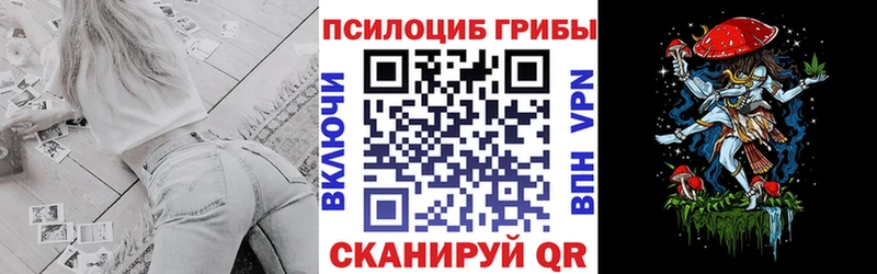 Галлюциногенные грибы Psilocybine cubensis Злынка